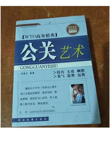 公关艺术 /刘善才